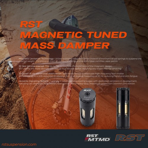 RST magnetic Tuned Mass Damper