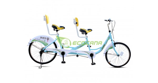 2 seater cycle online