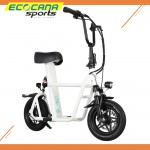 Fiido V2 Electronic Scooter