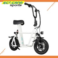Fiido V2 Electronic Scooter