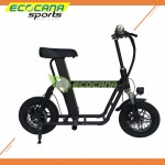 TEM V2 Electronic Scooter