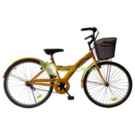 Adult City Bicycle