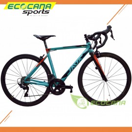 Java Siluro Road Bicycle (49cm) Shimano 105 Carbon Wheelset