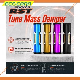 RST Mass Damper