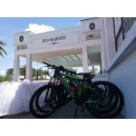 Collaboration with Ecoworld's Eco Majestic Township Area