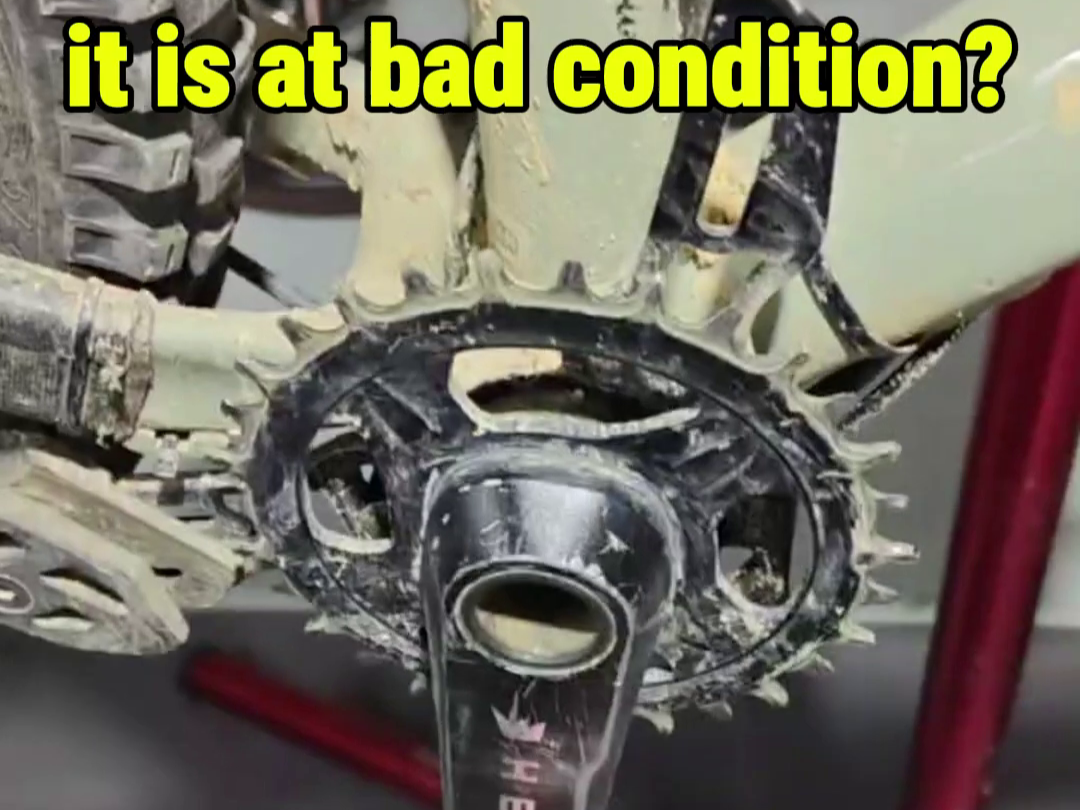 Why checking your Bottom Bracket Matters: Don't Lose Power!